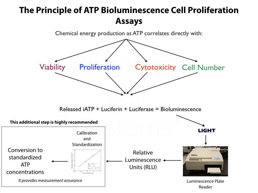 Principle of ATP Bioluminescence Cell Proliferation/Cytotoxicity Assays